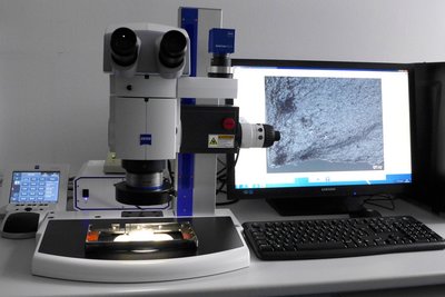 Zeiss Stereo Discovery V20