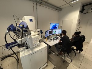 FIB Zeiss