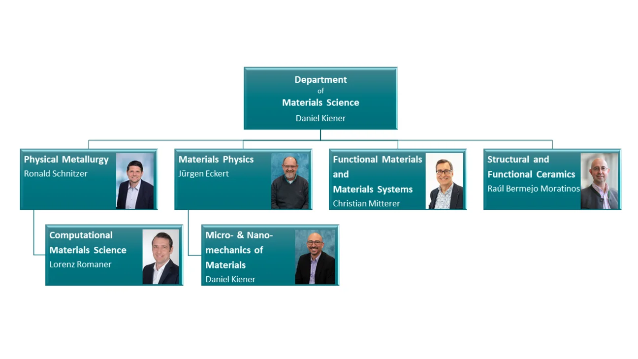 Organigram of the Department